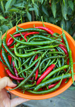 Load image into Gallery viewer, Orange bowl filled with green and red chili peppers held by a hand against a natural background.
